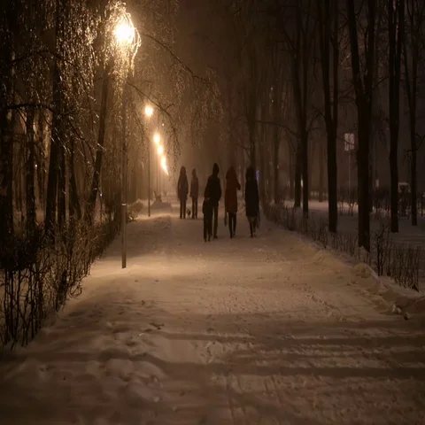 Winter night snow falls in the park Stock Footage 69533757