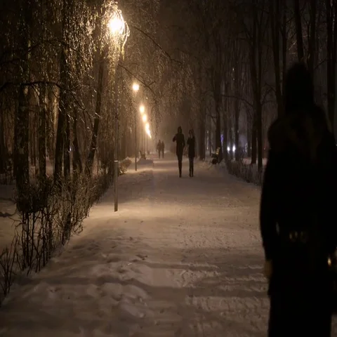 Winter night snow falls in the park Stock Footage 69534259