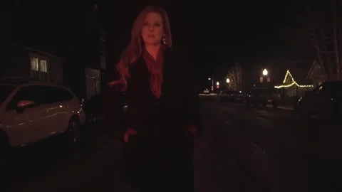 Winter Night Stroll Stock Footage 248339885