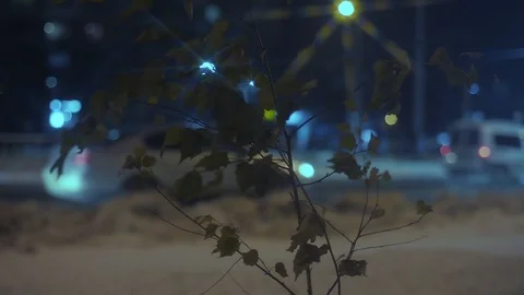 Winter night traffic Stock Footage 103110101