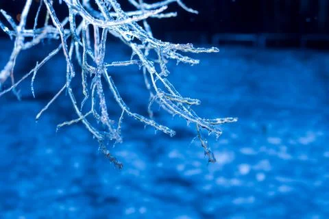 Winter night Trees in ice Stock Photos
