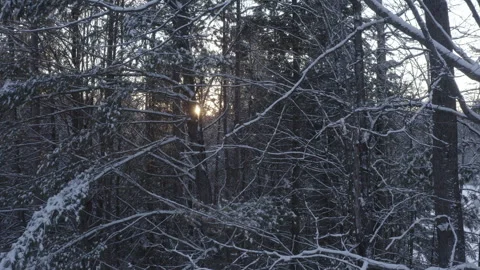 Winter NorthernWI 01 Video stock 321706547