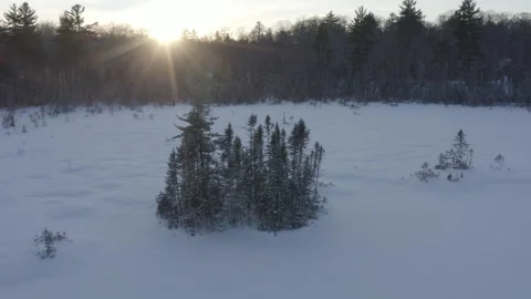 Winter NorthernWI 05 Video stock 321706440