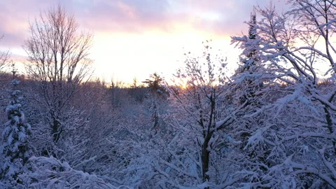 Winter NorthernWI 07 Video stock 327554005