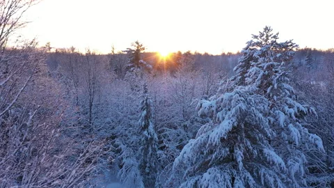 Winter NorthernWI 08 Video stock 327554359