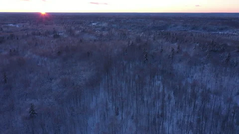 Winter NorthernWI 09 Video stock 327554223