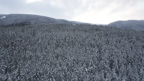 Winter in Norway Vídeo Stock 89303827