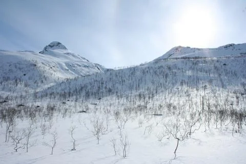 Winter in Norway Stock Photos