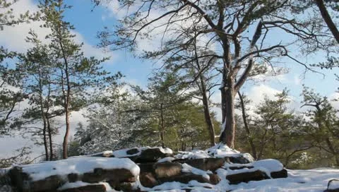 Winter in the NRG Stock Footage 10810232