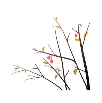 Winter or Autumn Tree Branches Isolated Clipart Stock Illustration