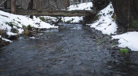 Winter or spring forest stream Stock Photos