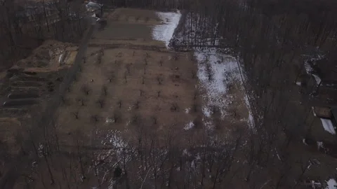 Winter orchard aerial Stock Footage 130585535