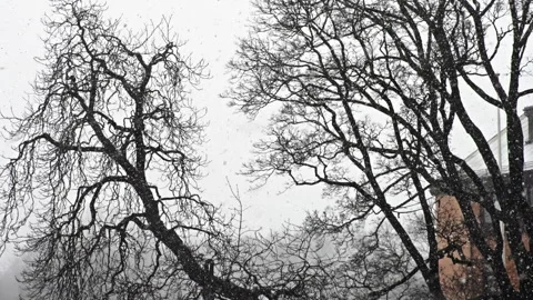 Winter in Oslo with heavy snowfall 1 Stock Footage 268692576
