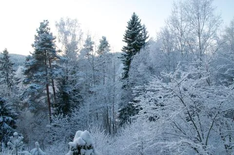 Winter in Oslo Stock Photos