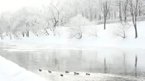 Winter outdoor Stock Footage 20615958