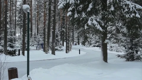Winter outdoor ice skating Video stock 70948133