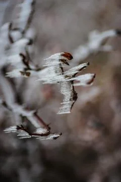Winter outside of the city Stock-Fotos