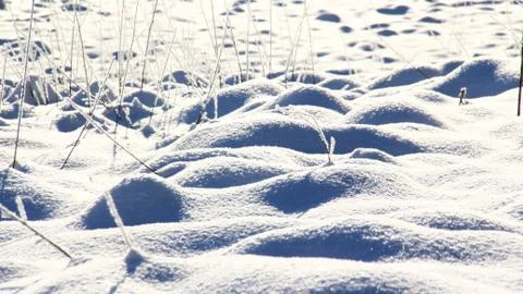 Winter outside in the nature Stock Photos