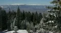 Winter over the Pine Woods Forest Idyllic Scene Nature Panorama Snow Covering HD Footage