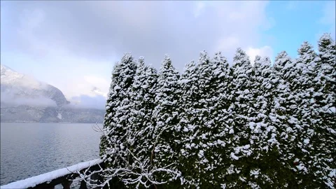 Winter panorama. Stock Footage 82938629