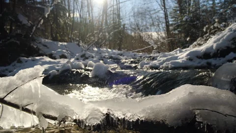 Winter panorama landscape with amazing forest and mountains river Stock Footage 301076192