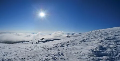 Winter panorama Stock Photos