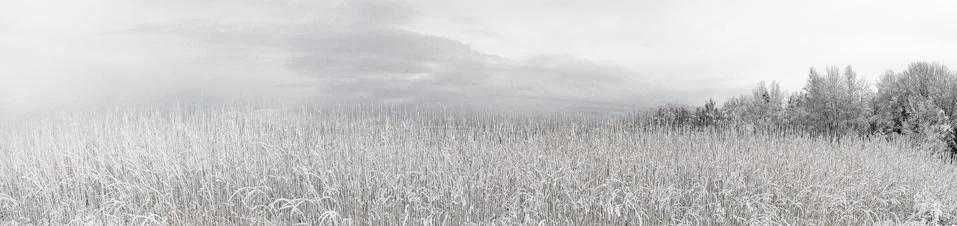 Winter panorama Stock Photos