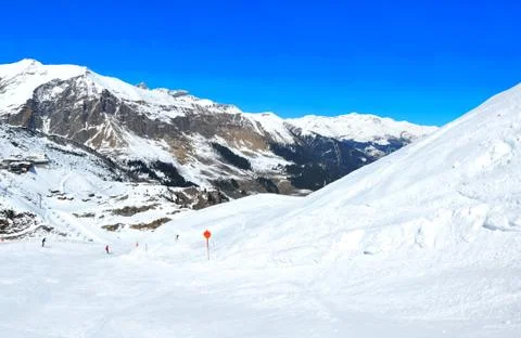 Winter panorama Stock Photos