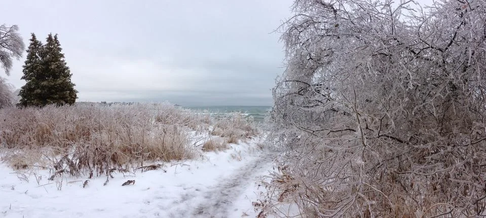 Winter panorama Stock Photos