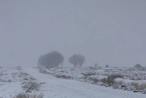 Winter panorama Stock Photos