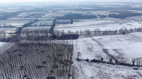 Winter panorama on the road through coniferous forest. beautiful french snowy Video stock 149178450