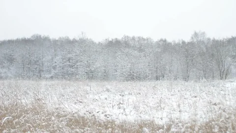 Winter Panorama Sequence Stock Footage 102527180