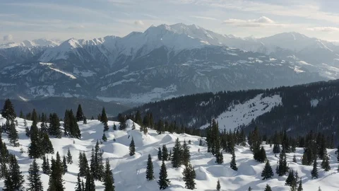 Winter Panorama Trees Snow Landscape Aerial 4k Stock Footage 120572839