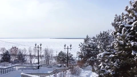 Winter panoramic shooting of a park area with trees and fir trees. Video stock 170552399