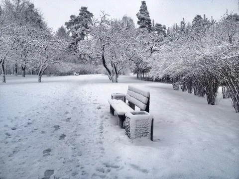 Winter park 1 Stock Photos