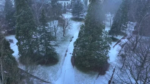 Winter park aerial view with snowfall and footprints on path Stock Footage 330955441