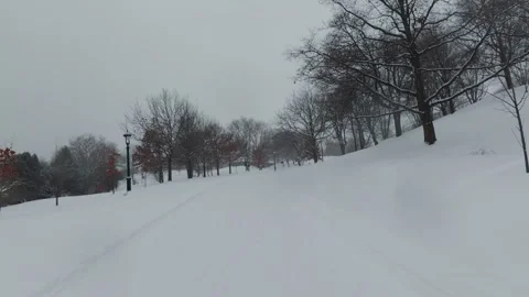 Winter Park With Bare Trees and Fresh Snow Stock Footage 323423832