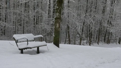 Winter park bench, covered with snow. Vídeos de archivo 72231799