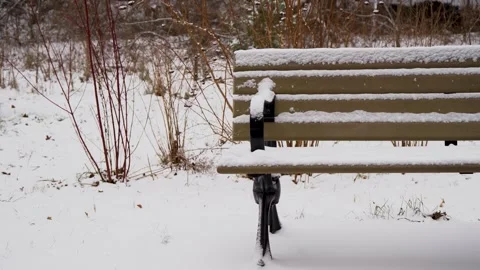 Winter Park Bench Covered in Snow Stock Footage 296646318