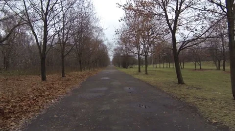 Winter park. Camera slide in the park. Stock Footage 50885224