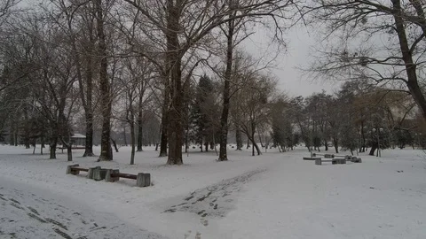 Winter Park. City Stock Footage 103361341