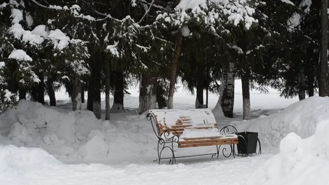 Winter Park in the city Stock Footage 122905319