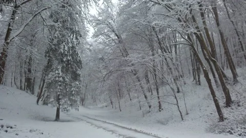 Winter park during a blizzard. Vídeo Stock 166526796