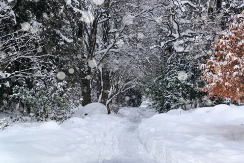 Winter park during snowfall Stock Photos