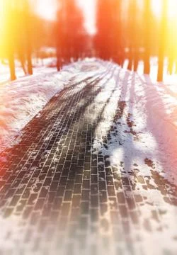 Winter park during sunset background Stock Photos