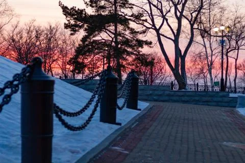 Winter Park in the evening during sunset. Stock Photos