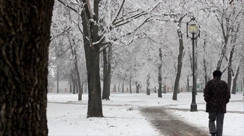 Winter park Stock Footage 1002048