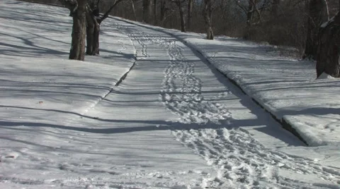 Winter in the Park Stock Footage 1269769