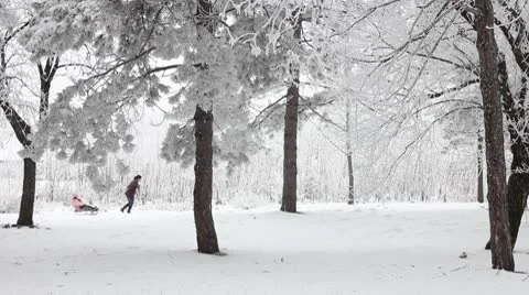 Winter park Stock Footage 8963353