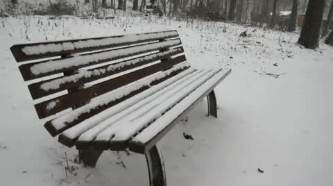 Winter in a park Stock Footage 12756768